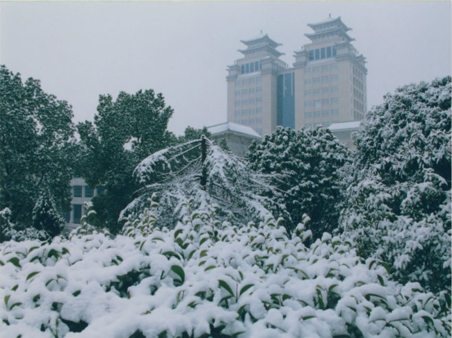 中南民族大学