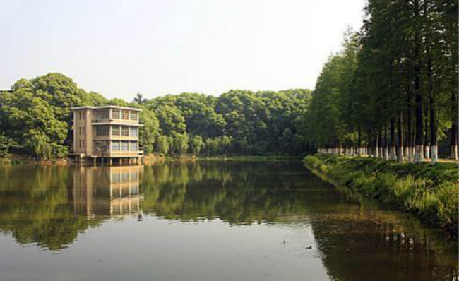 武汉科技大学