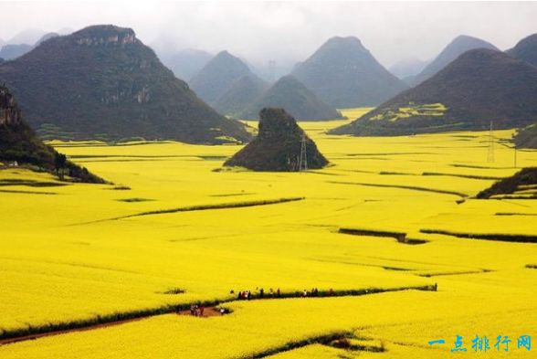 油菜花田，中国