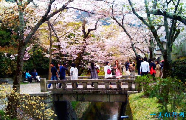 京都哲学之道