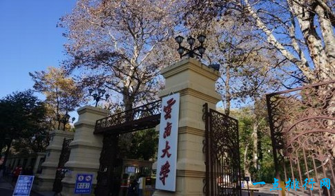 云南大学