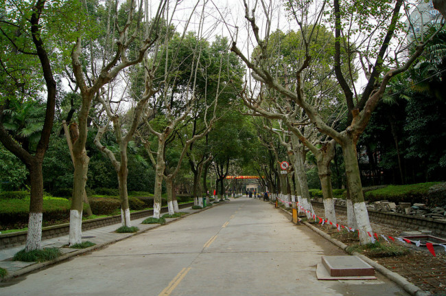 华东政法大学