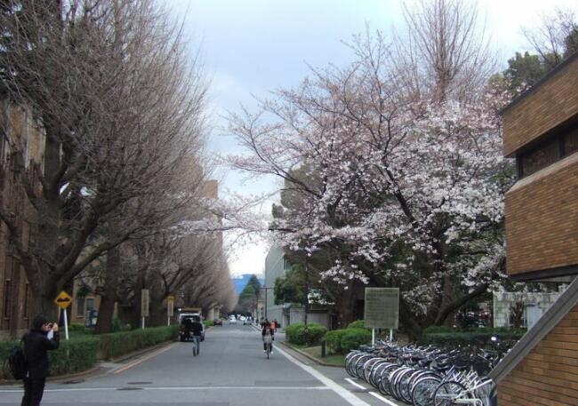 京都大学