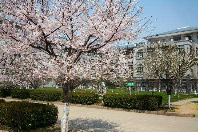 湖北中医药大学