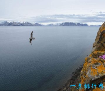 迪斯尼的暴雪海滩