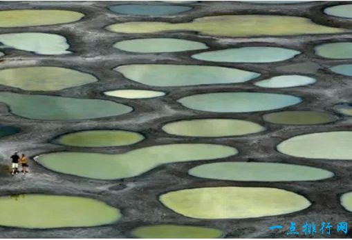 斑点湖,不列颠哥伦比亚省