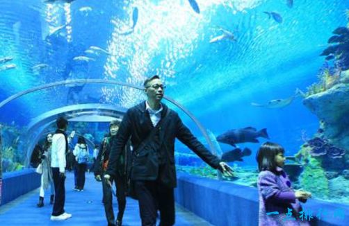 冲绳美之海水族馆——日本