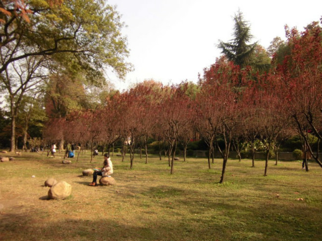 湖北大学