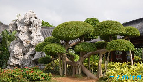 青秀山