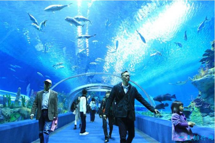 世界十大最有趣的娱乐场：日本冲绳-冲绳美丽海水族馆