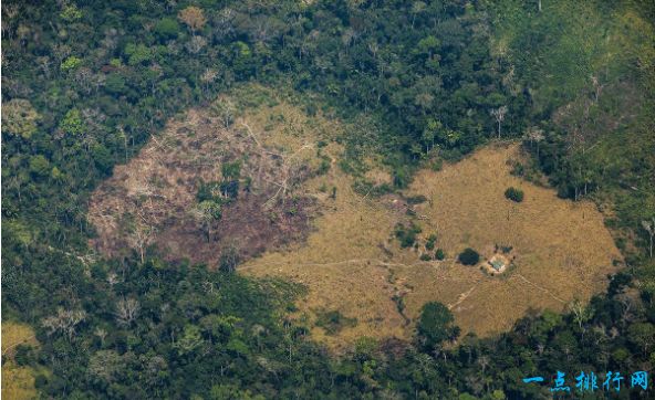 世界上最大的平原 560万平方公里的亚马孙平原