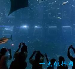 最大的水族馆