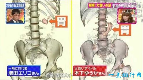 最能吃的日本大胃王木下佑香 强大的胃一顿可以容纳一个月的食物